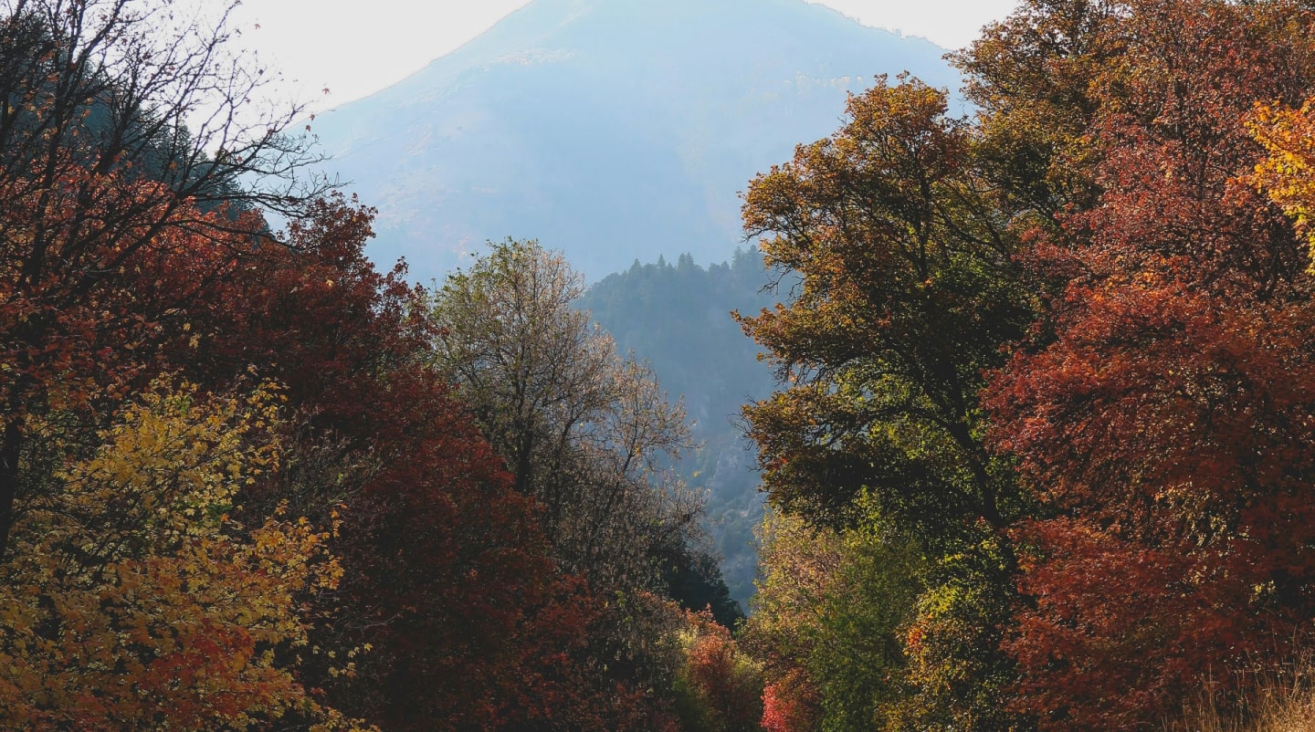 - [ ] Moving from Delaware to Utah_ First State to Beehive State Adventures