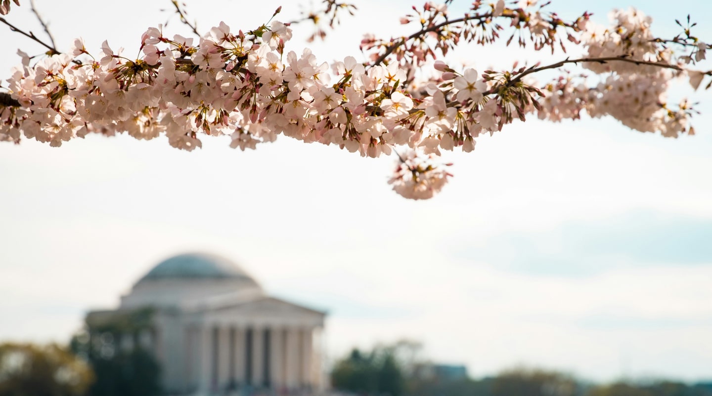 - [ ] Moving from Michigan to Washington_ Great Lakes Grandeur to Evergreen Escapes