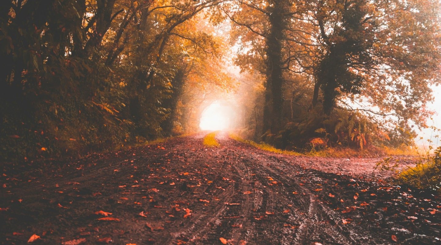 Cutting Costs: Smart Ways to Save on Your Next Move