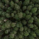 Business Relocations: Avoiding Disruptions & Hidden Costs