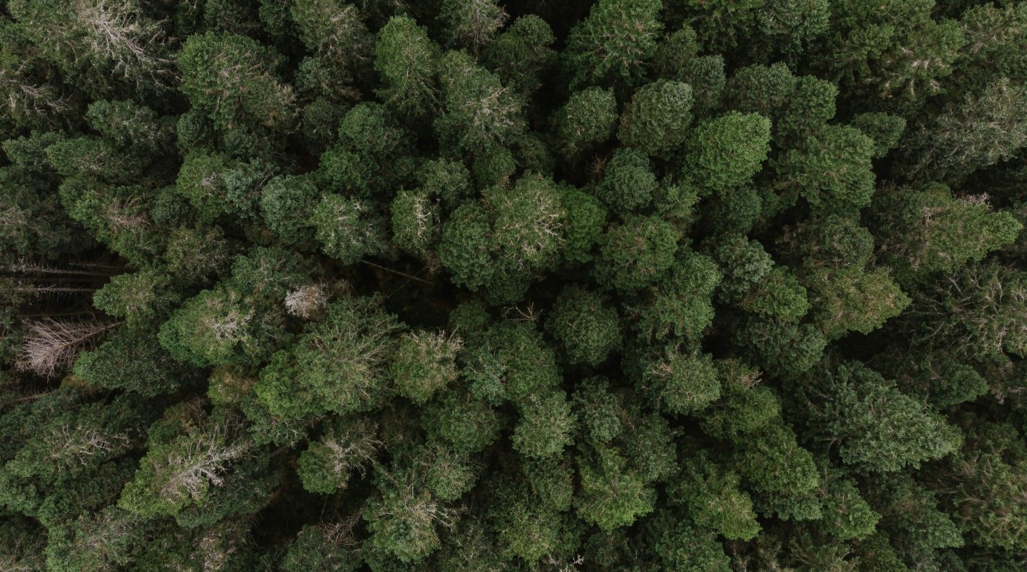 Business Relocations: Avoiding Disruptions & Hidden Costs