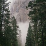 Expert Moving Tips for a Smooth & Hassle-Free Transition