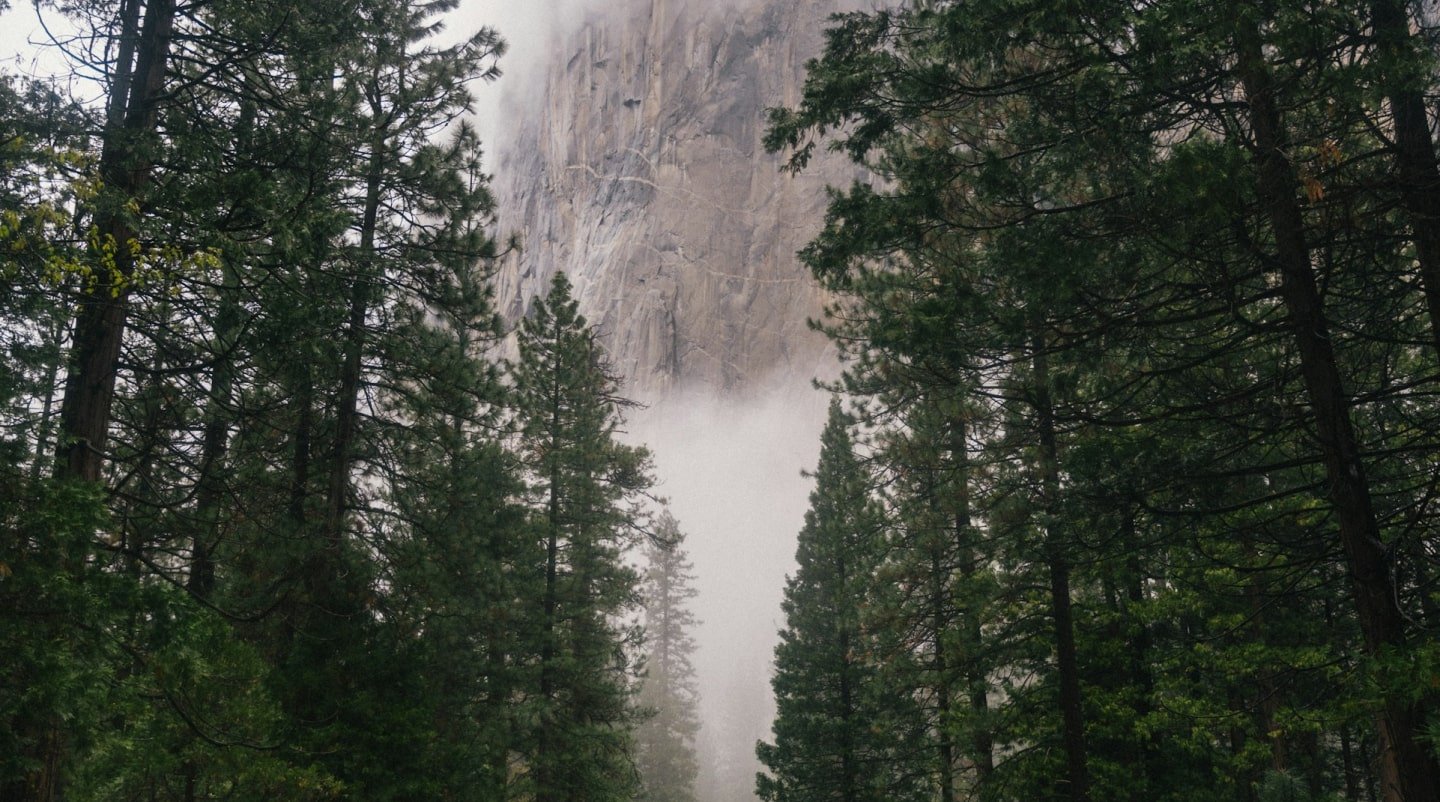 Expert Moving Tips for a Smooth & Hassle-Free Transition