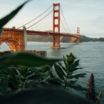 Packaging and Delivery Solutions Illinois