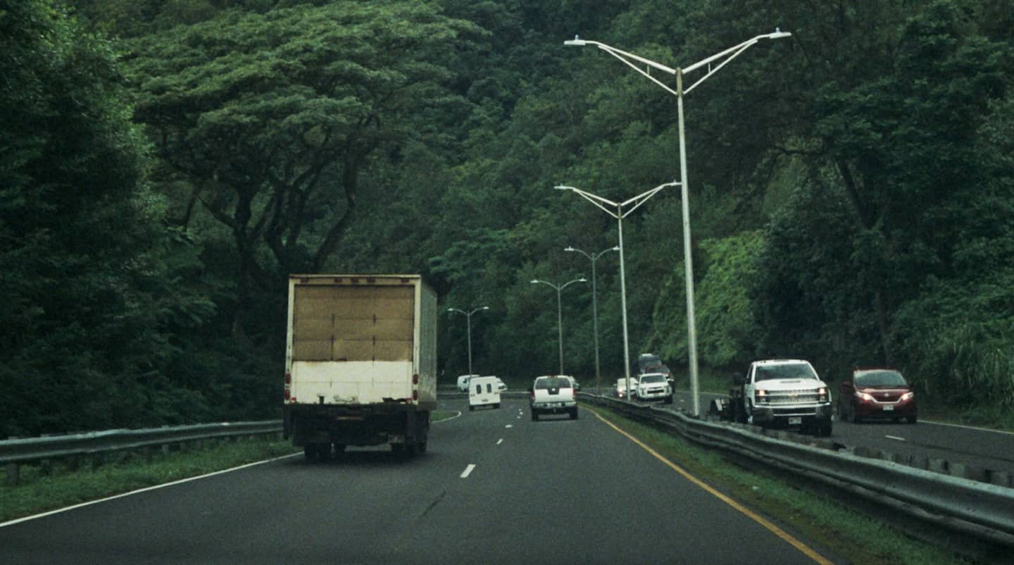 How to Avoid Injury on Moving Day: Essential Tips for Safety