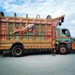 People Are Leaving Georgia – Here’s Where They’re Headed, Interstate Moving Says