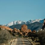 Interstate Moving Reports