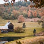 Interstate Moving Reports